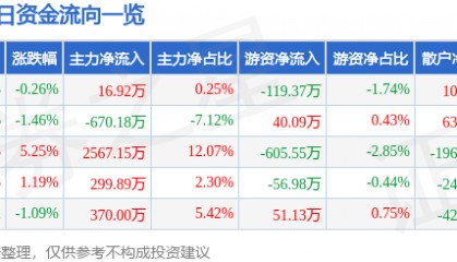 股票行情快报：祥龙电业（600769）8月21日主力资金净买入16.92万元