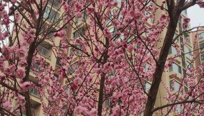 郑州网约车女司机：房产不愁，驾车只是兴趣