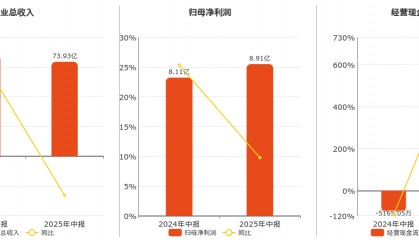 旗滨集团(601636.SH)：2025年中报净利润为8.91亿元