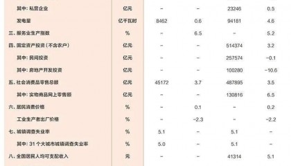 【金融资讯】经济社会发展统计图表：2024年国民经济主要指标