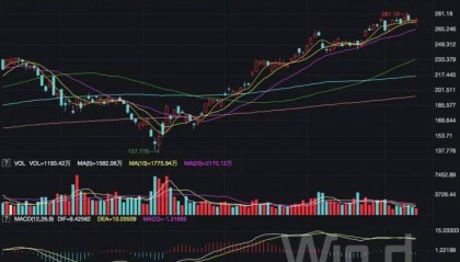 四万亿美元的英伟达，反击去英伟达化