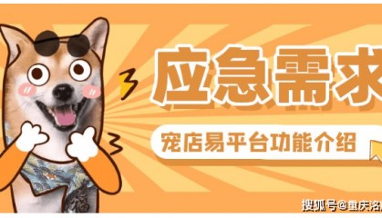 洺宸信息技术资讯宠物店小程序制作：洗澡美容预约 + 会员储值功能解析