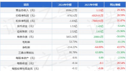 ST任子行（300311）2025年中报简析：营收上升亏损收窄