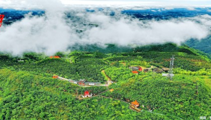 【5月12日】湖南自然资源7点资讯