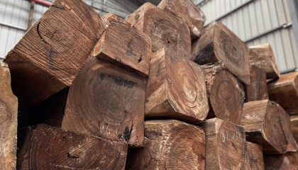 木材之家：木材行业资讯的领航者