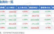 股票行情快报:新洋丰(000902)9月4日主力资金净买入110.63万元