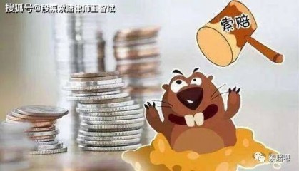 任子行受罚，股民损失几何？