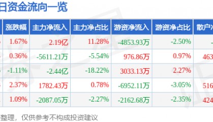 股票行情快报：光线传媒（300251）8月21日主力资金净买入2.19亿元