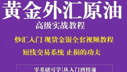 外汇现货黄金(外汇现货黄金mt 4的偏差怎么算)