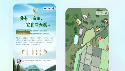 洺宸信息技术资讯有机蔬菜新体验，小程序定制开启种植与安全新篇章