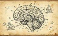 Insilico与SK生物制药达成25亿美元AI神经免疫领域合作
