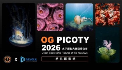 DIVEVOLK 用户横扫 OG PICOTY 2026 海洋摄影大赛手机摄影组