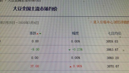 大豆现货价格(现货大豆行情走势)