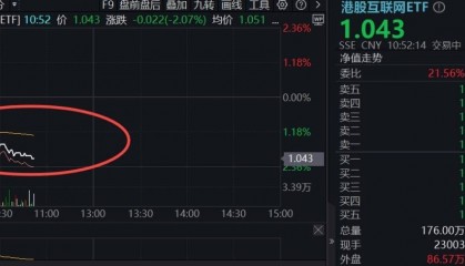 ETF盘中资讯｜突然跳水，港股互联网ETF跌逾2%，小米领跌4%！机构：拥挤度回落，向上弹性充足