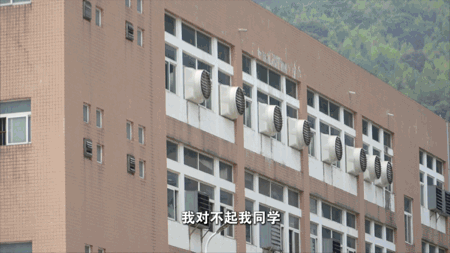 “蓝风铃”下的救赎——从虚拟币骗局到高墙忏悔