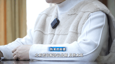 “蓝风铃”下的救赎——从虚拟币骗局到高墙忏悔